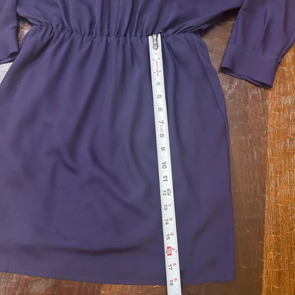 Express Collared Half Button Up Mini Portofino Shirt Dress in Deep Purple